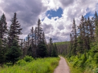 Parc national de la Gaspésie